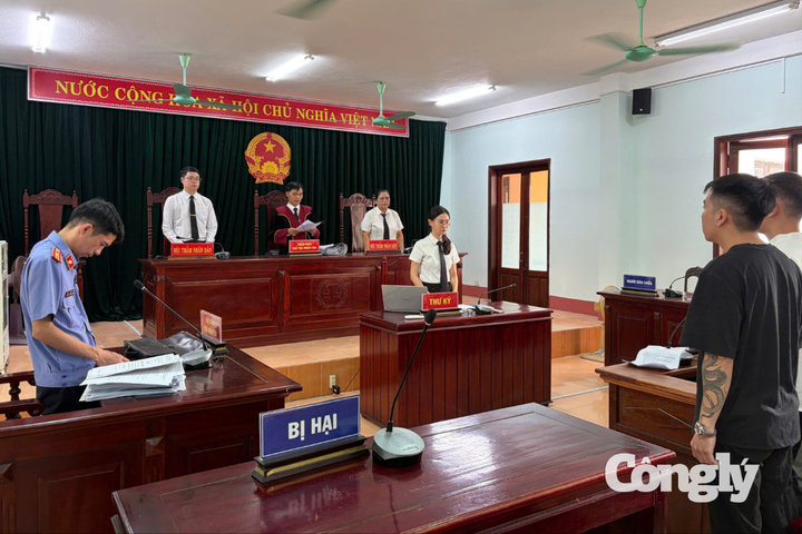 Mua bán hàng trăm bình khí cười, 3 cha con lĩnh án