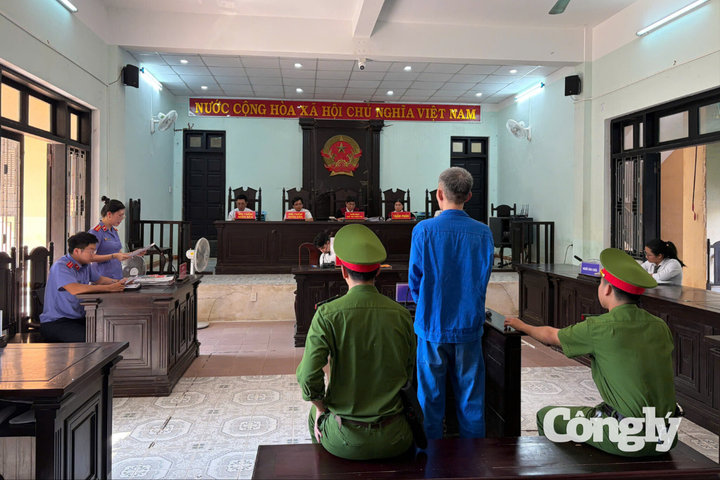 Giả chủ rừng, lừa bán 4 khu rừng keo, chiếm đoạt hơn nửa tỷ đồng