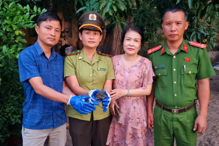 Người dân Huế giao nộp rùa nước ngọt đốm đen quý hiếm