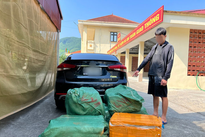 Phát hiện ô tô chở 300kg nầm lợn đông lạnh không rõ nguồn gốc