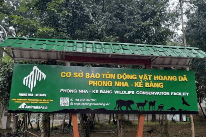 Bên trong nơi chăm sóc 7 cá thể Hổ Đông Dương ở Phong Nha - Kẻ Bàng