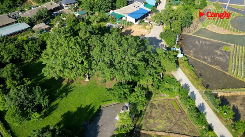 Đến với quê hương cách mạng dựng nền Cộng hòa