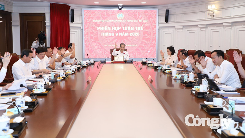 Hội đồng Thẩm phán thông qua 3 án lệ