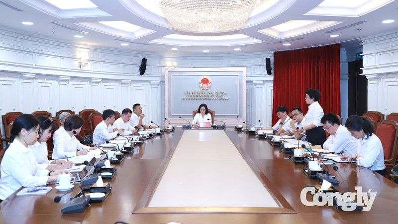 Phó Chánh án Nguyễn Hải Trâm: Bố trí Thẩm phán có kinh nghiệm giải quyết án phá sản