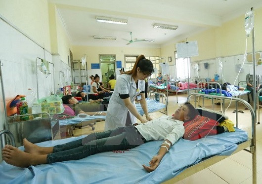 Đang trong giờ học, 11 học sinh bị đàn ong đốt phải nhập viện