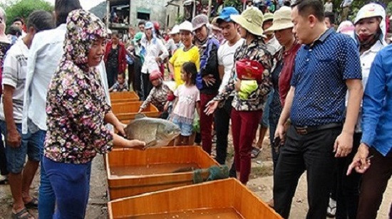 Quảng Bình: Đặc sắc lễ hội thi cá trắm trên sông Son