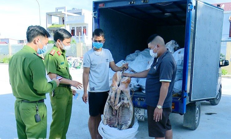 Ninh Bình: Thu giữ gần 1,5 tấn thịt lợn bẩn