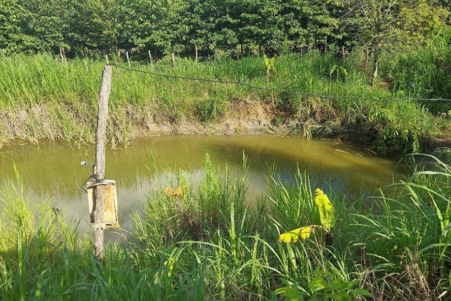 Gia Lai: Cứu con trai đuối nước, 2 mẹ con cùng tử vong