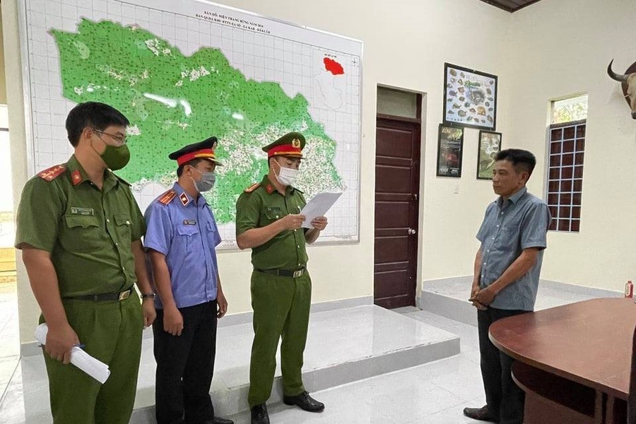 Khởi tố trưởng trạm kiểm lâm “nhận hối lộ”, cho lâm tặc khai thác gỗ