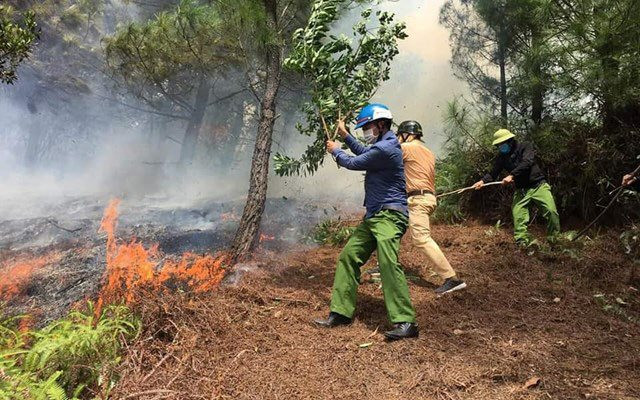 Hà Tĩnh: Người đàn ông chết cháy trong vườn keo của gia đình