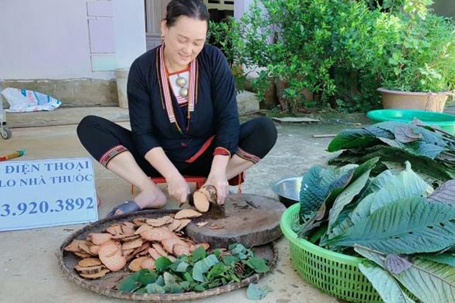 Lương y Triệu Thị Dung và niềm đam mê bất tận với những bài thuốc gia truyền chữa bệnh mãn tính