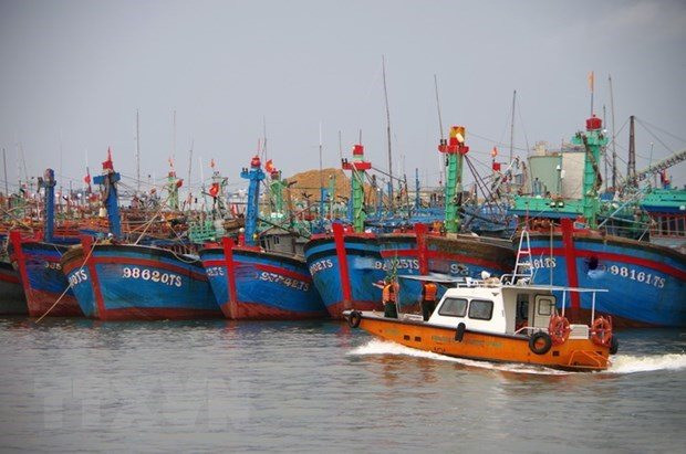 Bình Thuận cấm tàu, thuyền ra khơi từ 6h ngày 26/10
