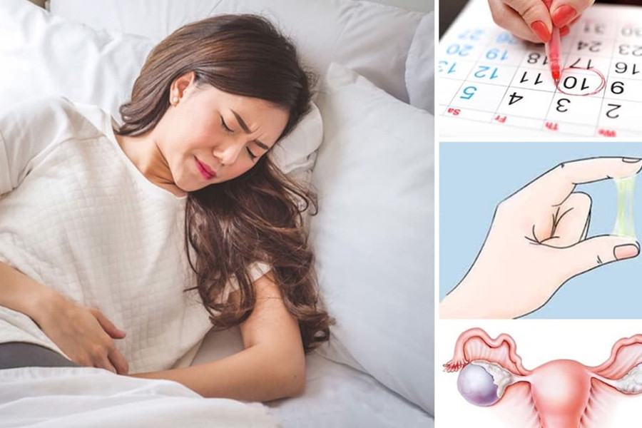 Thực phẩm bảo vệ sức khoẻ Bình Phụ An Khang – Nơi gửi trọn niềm tin phái nữ