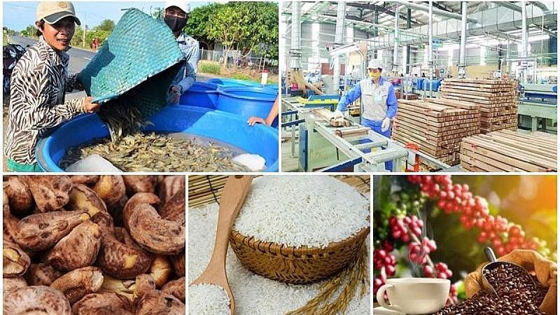 Giá trị xuất khẩu nông, lâm, thuỷ sản đạt 72% mục tiêu cả năm