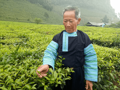 Thêm màu xanh mới nơi bản làng vùng cao