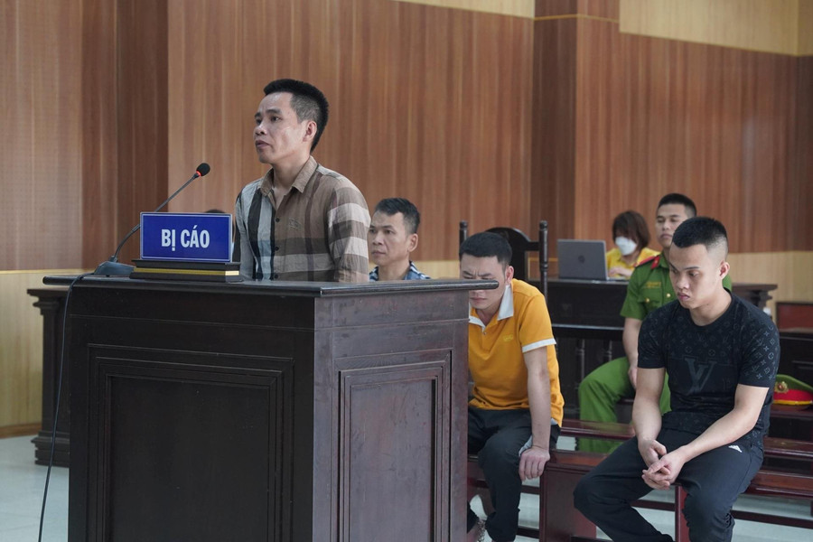Nhóm đối tượng lĩnh 48 năm tù vì trộm lan đột biến