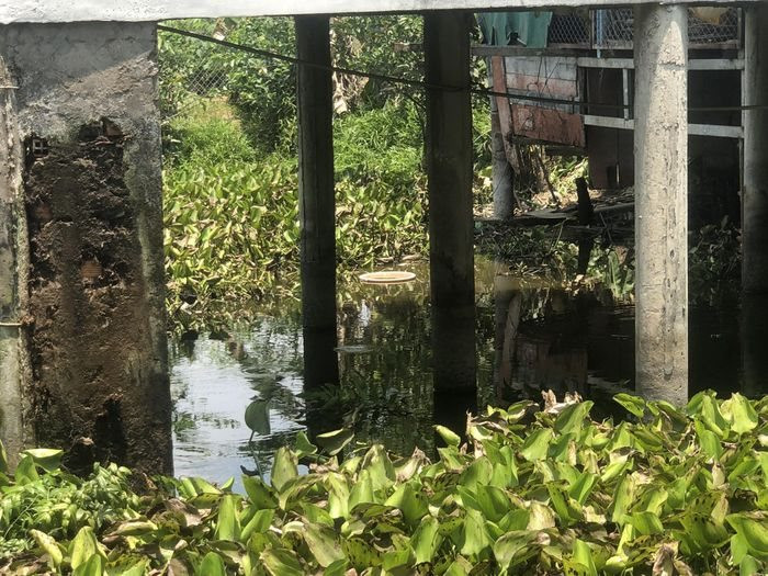 Phát hiện người đàn ông tử vong dưới ao cá sau nhà