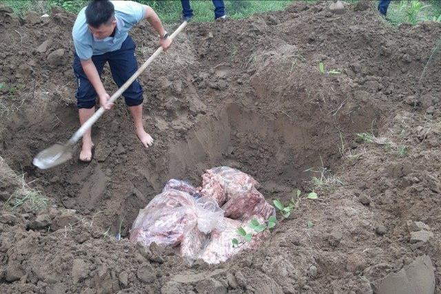 Tiêu hủy 6 tạ cổ, cánh gà đông lạnh không rõ nguồn gốc