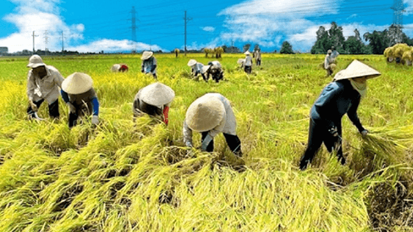 Bắc Bộ tiếp tục nắng nóng và oi bức