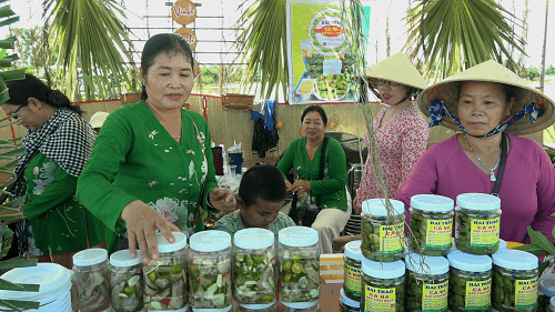 Nhộn nhịp ngày hội mùa nước nổi vùng Láng Linh