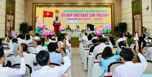Kỳ họp đột xuất lần thứ bảy , HĐND tỉnh Đồng Tháp khóa X