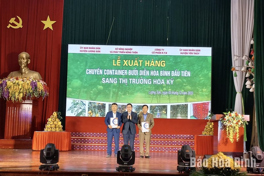 Bưởi Diễn trồng tại Hòa Bình lần đầu xuất khẩu sang Mỹ