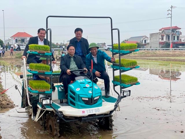 Thủ tướng cấy lúa, thu hoạch cà rốt cùng nông dân Hải Dương