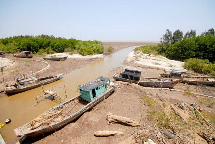 Xâm nhập mặn tăng cao, cần theo dõi chặt chẽ