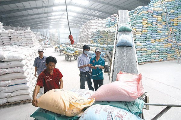Cấp gần 747 tấn gạo hỗ trợ nhân dân Điện Biên, Bắc Kạn
