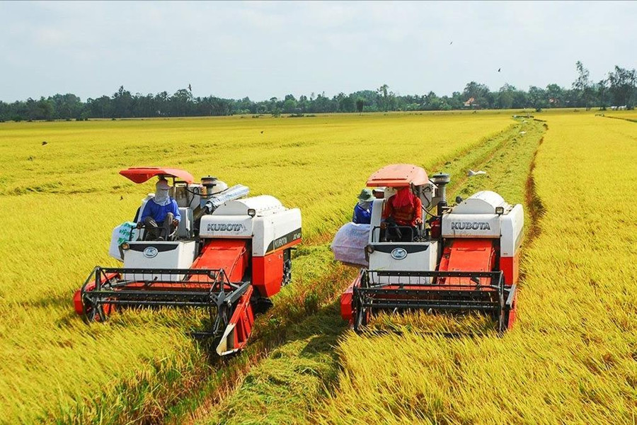 Nhân rộng “Đề án 1 triệu ha lúa chất lượng cao, phát thải thấp tại ĐBSCL”
