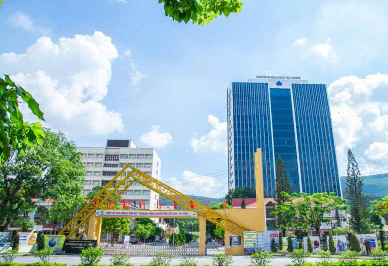 Thành lập trường liên cấp Tiểu học, Trung học thuộc Đại học Hạ Long