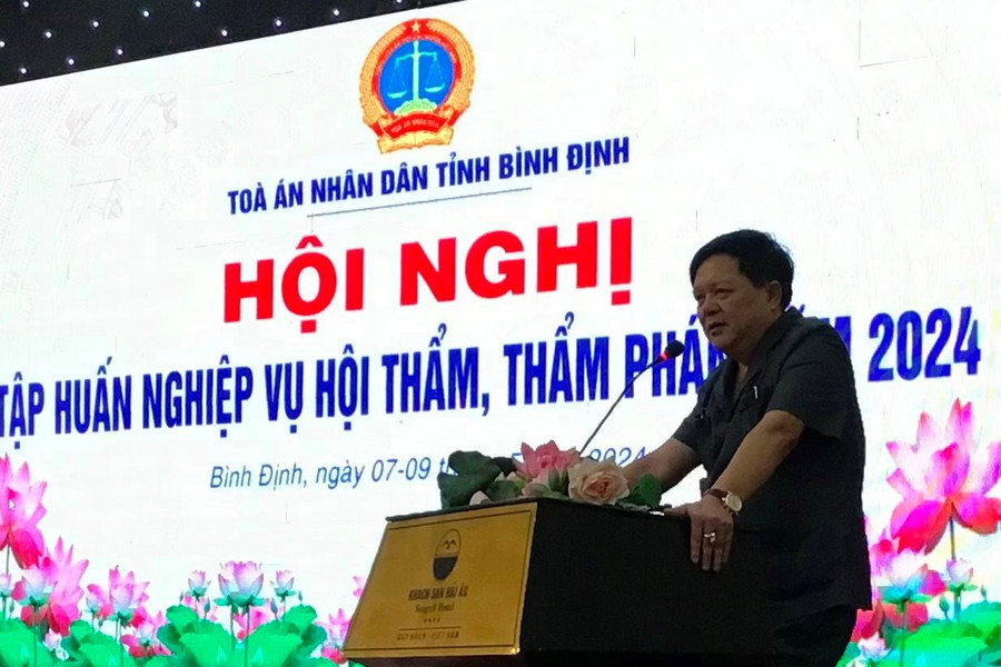 Toà án tỉnh Bình Định tập huấn tập huấn 8 chuyên đề cho Hội thẩm, Thẩm phán