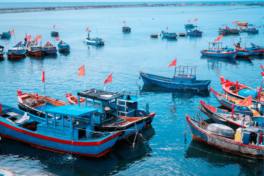 Xử lý triệt để các vi phạm về giám sát hành trình tàu cá
