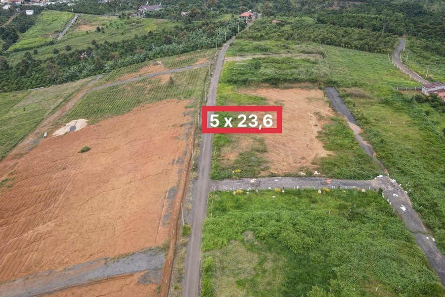 Bài cuối: Luật sư nói việc bán nền của Công ty Long Biên