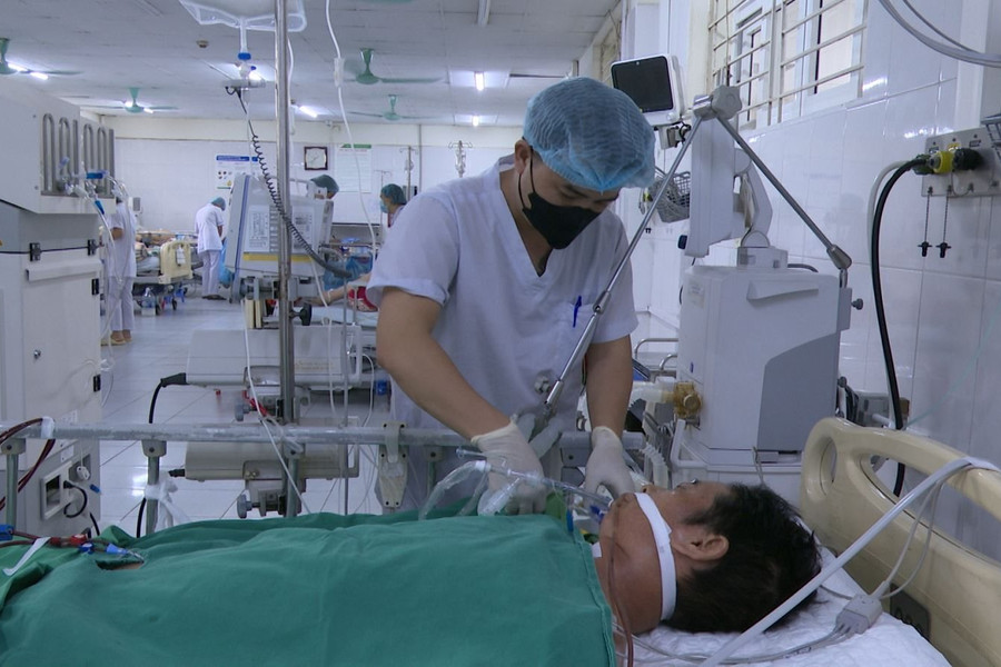 Sốc nhiễm khuẩn, suy đa tạng do ăn thịt lợn chết