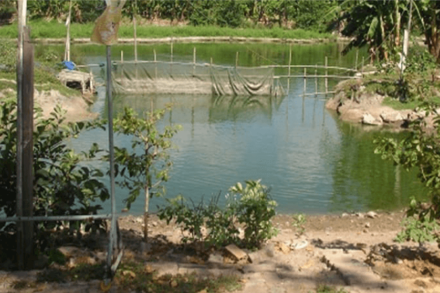 Xác định lại đất ở với thửa có vườn ao cần gì?
