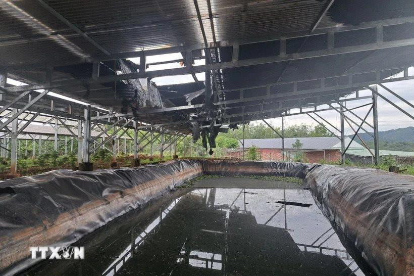 Gần 100 tấm pin năng lượng mặt trời áp mái của doanh nghiệp bị cháy rụi ở Bình Phước