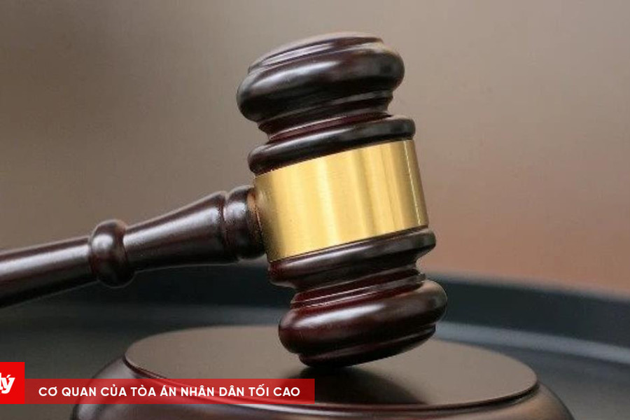 Đề cao sự an toàn và tính tôn nghiêm nơi pháp đình