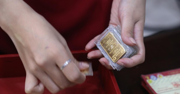 Giá vàng hôm nay tăng hơn 500 ngàn đồng so với tuần trước