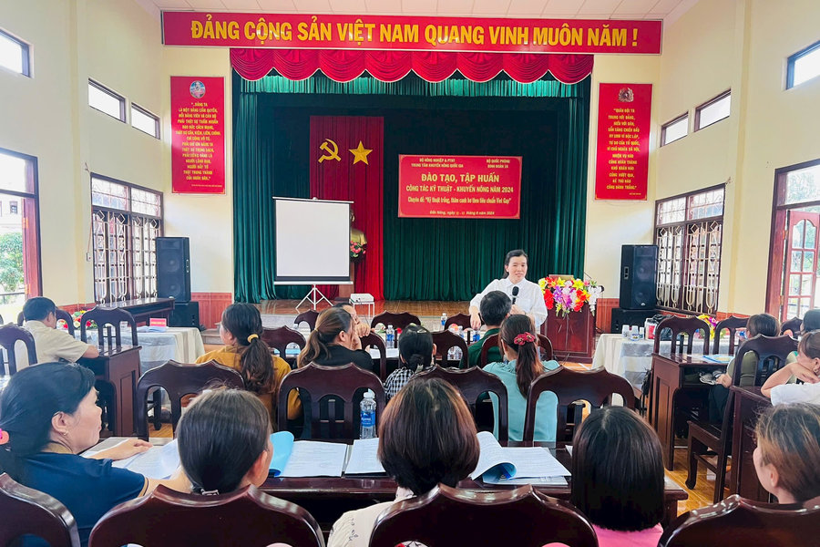 Binh đoàn 16 tập huấn kỹ thuật trồng bơ theo tiêu chuẩn VietGAP