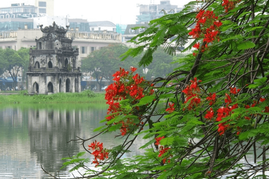 "Những ngày Hà Nội tại Thành phố Hồ Chí Minh" sẽ khai mạc vào ngày 23/8