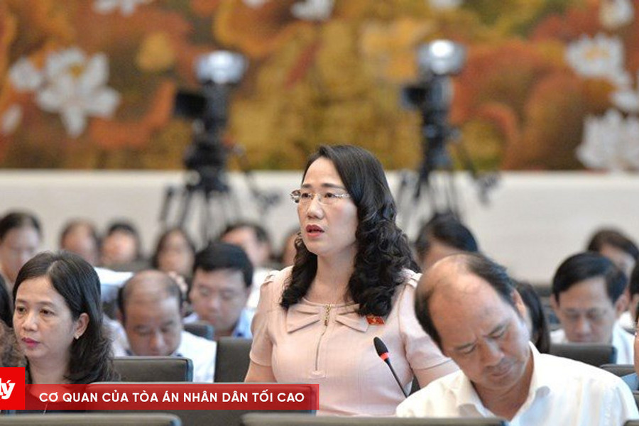Đại biểu Quốc hội chuyên trách cho ý kiến dự thảo Luật Tư pháp người chưa thành niên