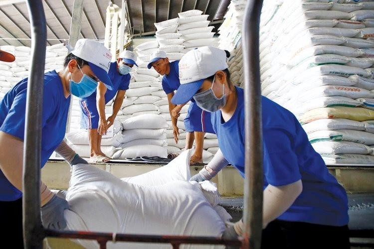Xuất khẩu gạo đạt 6,16 triệu tấn, thu về 3,85 tỷ USD
