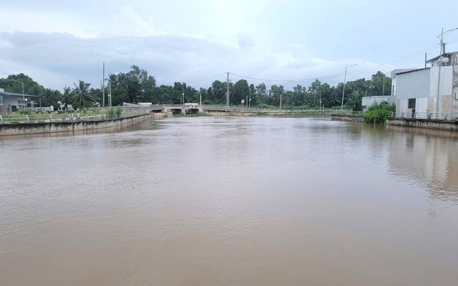 Dự báo mực nước ở ĐBSCL 10 ngày tới