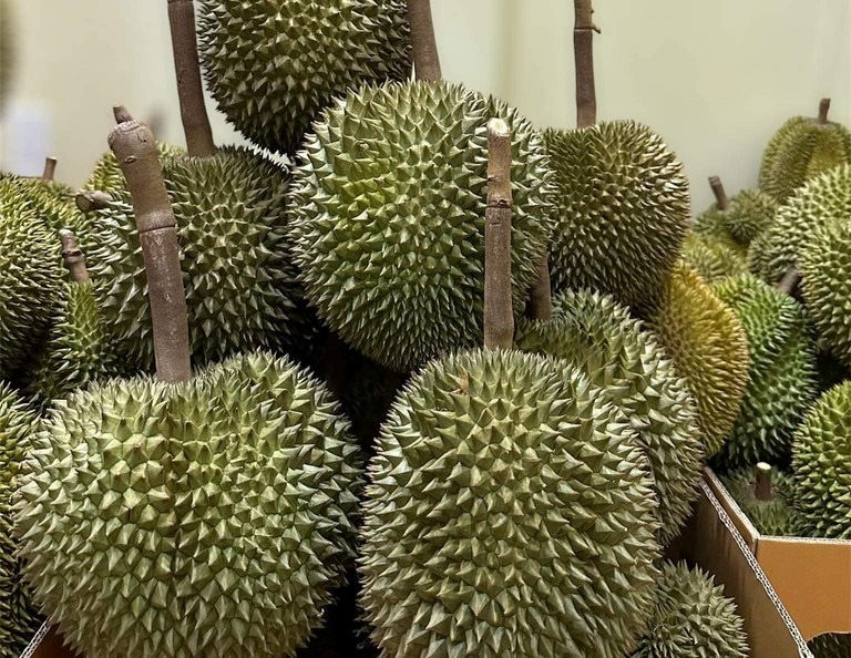 Nhập khẩu sầu riêng tăng đột biến