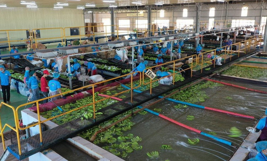 Hoàng Anh Gia Lai lợi nhuận quý, nhưng vẫn nặng nợ