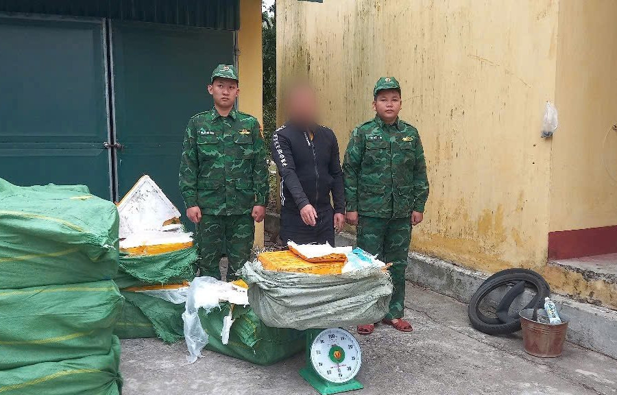 Thu giữ gần 1 tấn nầm lợn đông lạnh không rõ nguồn gốc