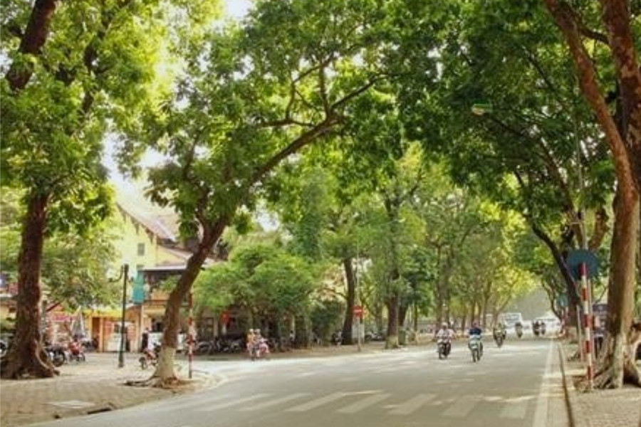 Thời tiết ngày 5/12/2024: Hà Nội không mưa, trưa chiều nắng