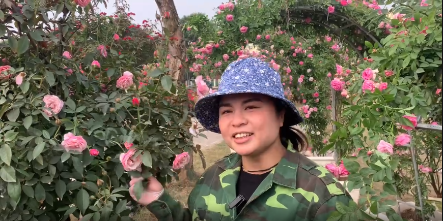 Festival Hoa Mê Linh Lễ hội Hoa lớn nhất miền Bắc