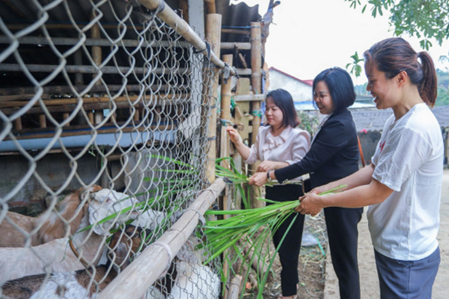 Bình đẳng giới – Chìa khóa cho sự tiến bộ của phụ nữ